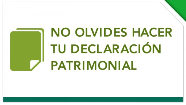 DECLARACIÓN PATRIMONIAL 